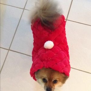 Dog coat Xmas